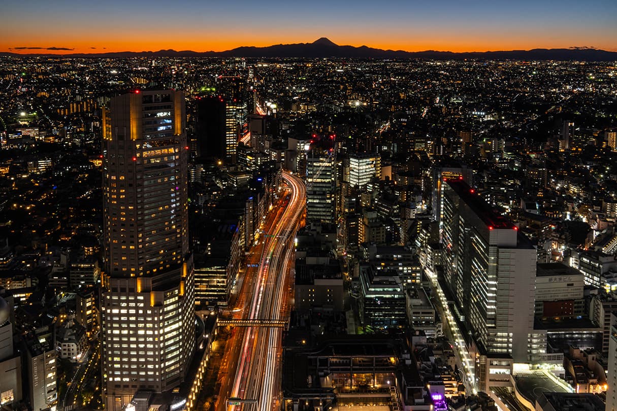 Experience Tokyo by Night with the Metropolitan Expressway
